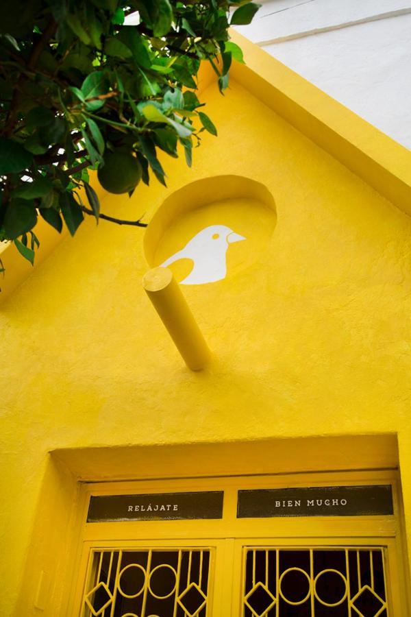Casa Canario Hostel Guadalajara Exteriör bild