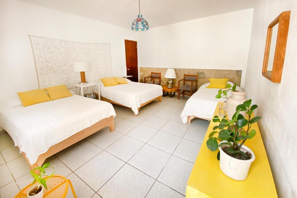 Casa Canario Hostel Guadalajara Exteriör bild