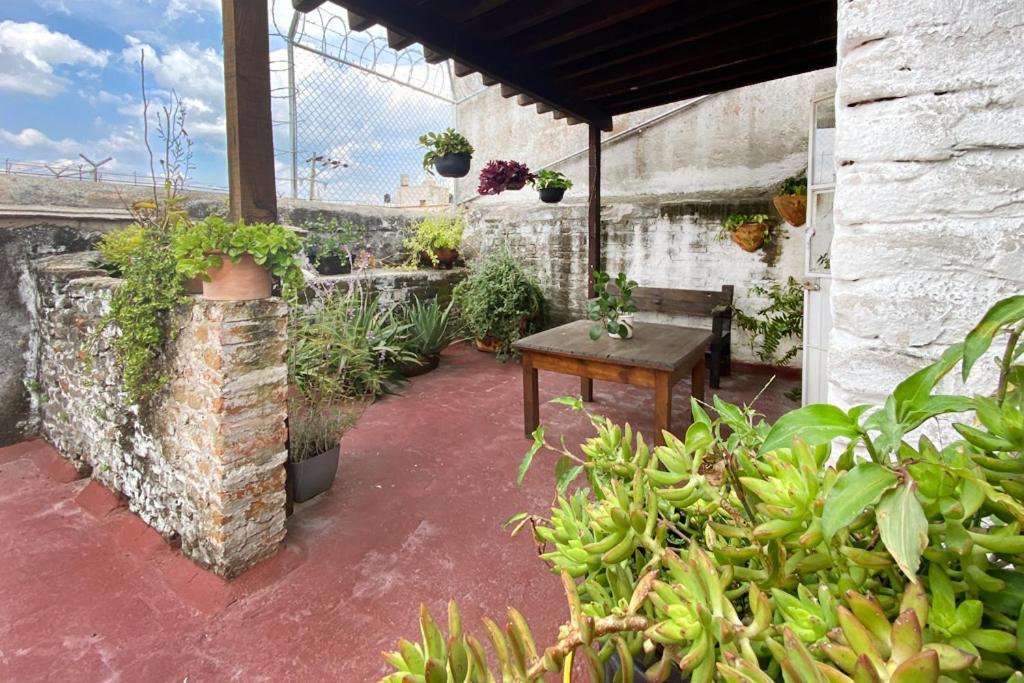 Casa Canario Hostel Guadalajara Exteriör bild